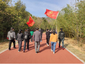 1667261282169795.png image.png